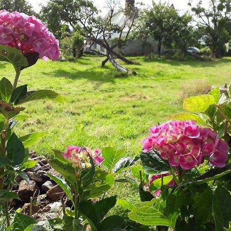 Maisoncelles-la-Jourdan Terre De Reveries Bed & Breakfast エクステリア 写真