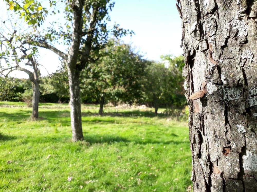 Maisoncelles-la-Jourdan Terre De Reveries Bed & Breakfast エクステリア 写真