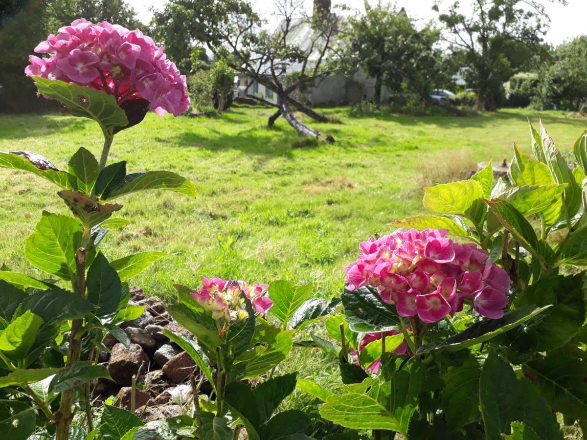 Maisoncelles-la-Jourdan Terre De Reveries Bed & Breakfast エクステリア 写真