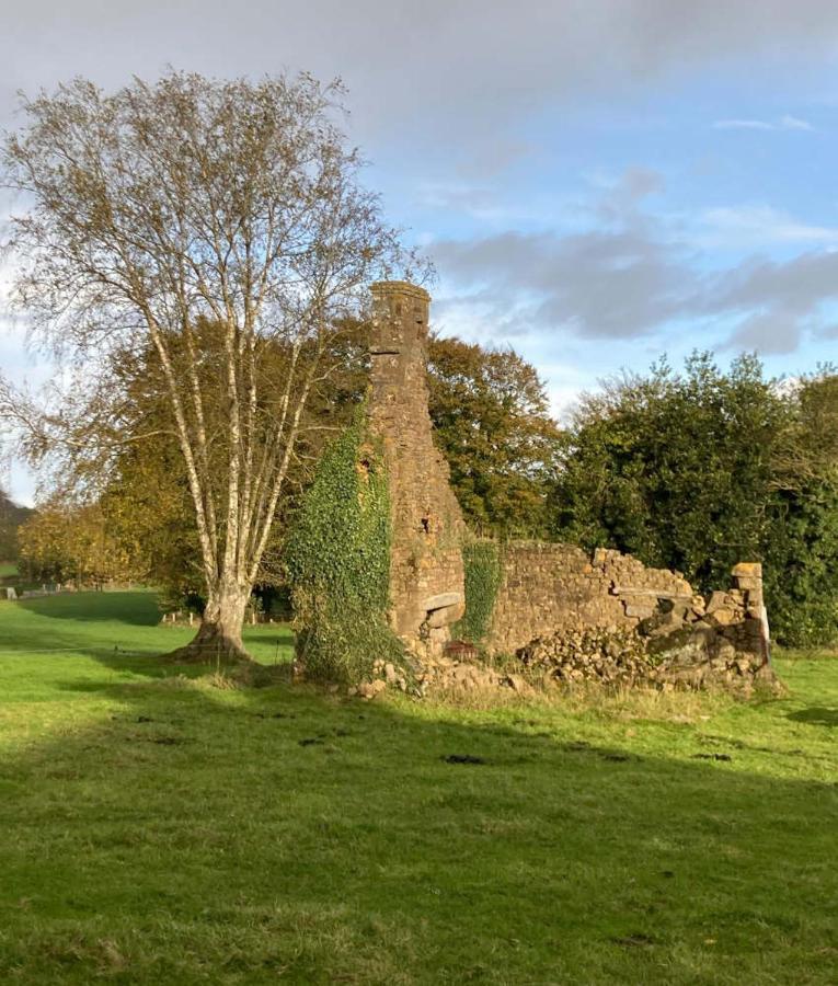 Maisoncelles-la-Jourdan Terre De Reveries Bed & Breakfast エクステリア 写真